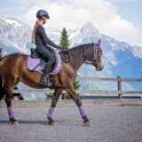 ノーザンホースパーク口コミ評判 乗馬初体験にも◎リアルな感想まとめ