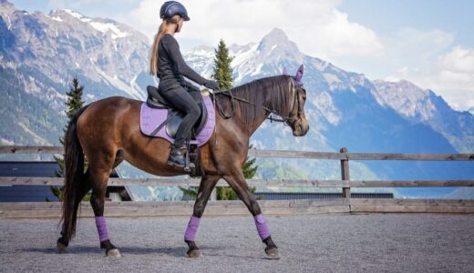 ノーザンホースパーク口コミ評判 乗馬初体験にも◎リアルな感想まとめ
