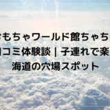 木のおもちゃワールド館ちゃちゃワールド口コミ体験談｜子連れで楽しむ北海道の穴場スポット